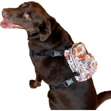 Esranın Dünyası Ayarlanabilir 2’si 1 Arada Göğüs Tasmasi ve Sırt Çantası