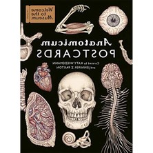 Esranın Dünyası Anatomicum Postcard Box Kart Seti
