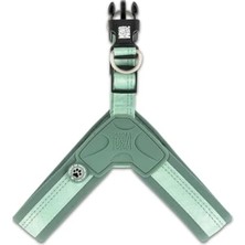 Esranın Dünyası Akıllı Qr Kodlu Köpek Göğüs Tasması - Küçük ve Orta Boy