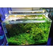 Esranın Dünyası 60 cm Uzunluğunda Beyaz Akvaryum LED Aydınlatma