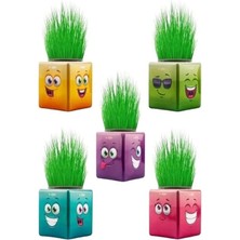 Esranın Dünyası 3 Adet Emojili Küp Çim Adam Seti - Okul Öncesi Hediyelik