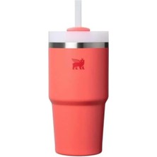 Esranın Dünyası Pipetli Termos Bardak - 0.60 Litre, Mercan Renk