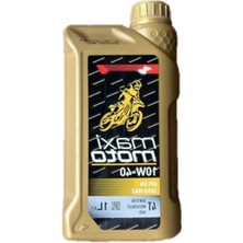 Esranın Dünyası 10W-40 Motor Yağı, Yüksek Performanslı