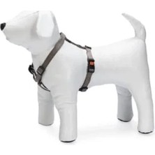 Esranın Dünyası Kilitli Göğüs Tasma, Xs, 25-40 Cm, Gri Renk