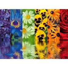 Esranın Dünyası 500 Parça Çiçek Yansıma Puzzle