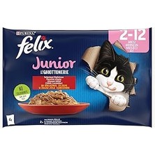 Starseven Felix Yavru Avantajlı Paket (12X4= 85GR)