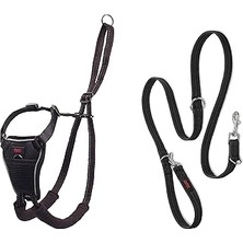 Starseven Halti No Pull Yemek Takımı Antrenman Tasması Kombi Paket, Stop Dog Pulling On Walks With Halti,