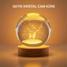 İntora 3D Geyik Desenli Kristal Küre USB Işıklı Ahşap Tabanlı Oda Lambası
