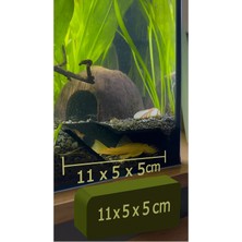 LTG Nova Cam Önü Vatoz Mağarası - Balık Gözlem Üreme Yuvası (2 Adet)