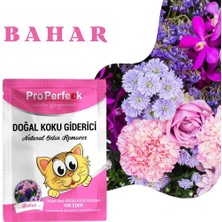 LTG Nova Perfeck Bahar Kokulu Koku 25 gr