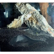 LTG Nova Akvaryum Saklanma Alanı - Dekoratif Dış Görünümlü Balık Evi