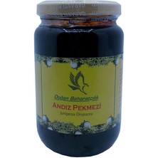 LTG Nova Andız Pekmezi Cam Kavanoz 450 gr