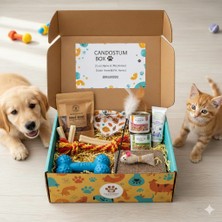 Candostumbox Yavru Evcil Hayvan Başlangıç Kutusu | Yavru Kedi ve Yavru Köpek Için Oyuncak, Atıştırma