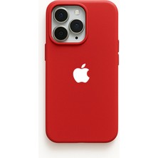 Demina iPhone 12/12 Pro Uyumlu Beyaz Logo Baskılı Içi Kadife Lansman Kılıf