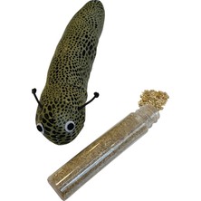 LTG Nova Oyuncağı Otlu Benekli Tırtıl 4-17 cm Yeşil