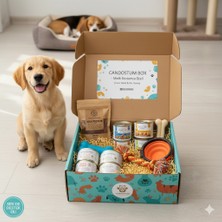 Candostumbox Köpek Hediye Kutusu | Köpekler Için Oyuncak, Atıştırmalık ve Aksesuar Kutusu