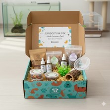 Candostumbox Balık Hediye Kutusu | Akvaryum Balıkları Için Aksesuar ve Akvaryum Ürünleri Kutusu