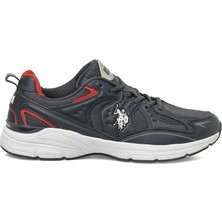 U.s. Polo Assn. Sıyon 6fx Erkek Sneaker
