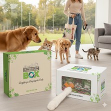 Candostumbox Evcil Hayvan Atıştırmalık Kutusu | Kedi ve Köpekler Için Atıştırmalık ve Ödül Ürünleri
