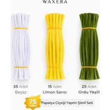 Waxera Papatya Çiçeği Yapım Şönil Seti – 75 Adet – Beyaz, Limon Sarısı ve Ordu Yeşili – Hobi ve El Işi Için Şönil