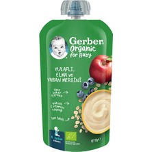 2 Adet Gerber Organik Yulaflı Elma ve Yaban Mersini 110 G