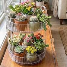 Skygo 2 Katlı Makyaj Organizeri Kozmetik Aksesuar Düzenleyici Kozmetik Vitrini Yuvarlak (Şeffaf)