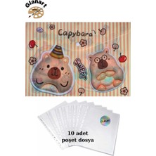 Glanart A4 Boy Çıt Çıt  Ödev Dosyası +10\' Lu Poşet Dosya  Capybara Sweet