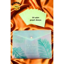 Glanart A4 Boy Çıt Çıt  Ödev Dosyası +10\' Lu Poşet Dosya  Pastel Renkler Yeşil