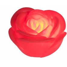 LTG Nova LED Işıklı Gül Romantik Gül