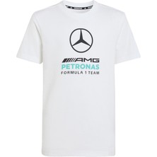 Adidas Performance KQ8082 Mercedes - Amg Petronas Formula 1 Team Dna Graphıc Tee