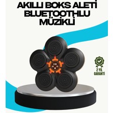 GIGA Ev Tipi Akıllı Boks Duvar Paneli Müzikli Bluetoothlu Refleks Geliştirme Cihazı