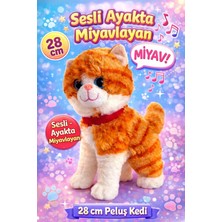 Aksoy Toys Sesli Ayakta Miyavlayan 28 cm Peluş Yumuşacık Uyku Arkadaşı Kedi