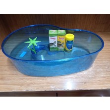 Pet Kaplumağa Başlangıç Seti