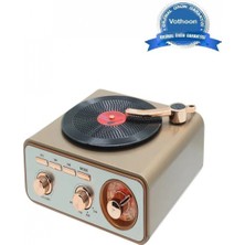 Marsilyan Metalik Nostaljik Tasarım Plak Çalar Görünümlü Radyolu Bluetooth Hoparlör Retro Müzik Plak