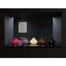 Mantar Şeklinde LED Mum Işıklı Dekoratif Ürün – 5’li Set (Mor, Kahverengi, Kırmızı Beyaz ve Siyah) 🍄✨