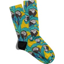 Eğlenceli Çorap Unisex  Papagan Kuş Baskılı Çorap