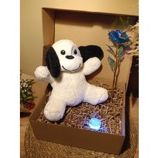 Paganca Kutulu Hediye Seti / Peluş Köpek 24CM - Renk Değiştiren Işıklı Anahtarlık - Sonsuzluk Gülü