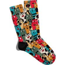 Eğlenceli Çorap Unisex  Renkli Kediler Meoow Baskılı Çorap