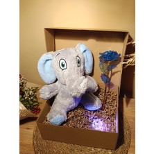 Paganca Kutulu Hediye Seti / Peluş Fil 24CM - Renk Değiştiren Işıklı Anahtarlık - Sonsuzluk Gülü