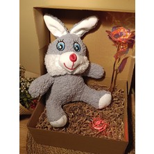 Paganca Kutulu Hediye Seti / Peluş Tavşan 30CM - Renk Değiştiren Işıklı Anahtarlık - Sonsuzluk Gülü