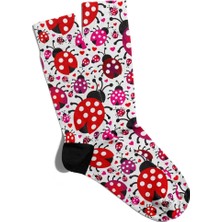 Eğlenceli Çorap Unisex  Uğur Böceği Detaylı  Baskılı Çorap