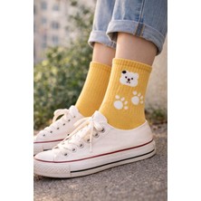İpeksi Teddy Dikişsiz Pamuk Tenis Çorap Soket Boy - Unisex