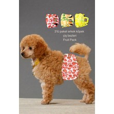 Salya Store Fruits Erkek Köpek Çiş Bezleri -Erkek Köpek Külot 3'lü Avantajlı Paket Su Geçirmez ve Yıkanabilir