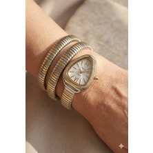 Ferrucci Gümüş Damla Kasa Kadın Kol Saati | 33 mm Çelik Kasa, Altın Gümüş Metal Kordon, Gümüş Kadran