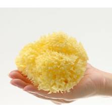 Bellini Deniz Süngeri - Banyo Süngeri Boyut:14