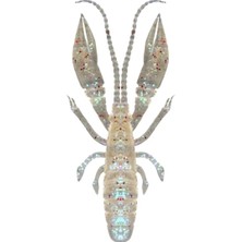 Rudies Rudie’s Hatagui Ebi Grouper And Shrimp 3’’ Clear Halo (7 Adet)