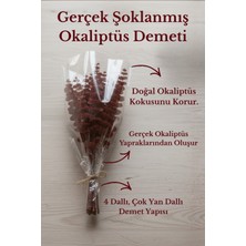 Molena Bitkisel Kızıl Okaliptüs Demeti Gerçek Şoklanmış Uzun Ömürlü Dekor Bitkisi