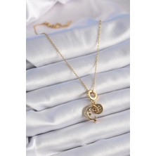 Alvo Store Buğz 316L Çelik Gold Renk Zirkon Taşlı Ay Yıldız  Model Charm Model Kadın Kolye - Buğz