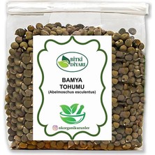 Nk Organik Bamya Tohumu Doğal (Abelmoschus Esculentus) 75GR