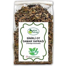 Nk Organik Sinirli Ot (Plantago Lanceolata) 25GR